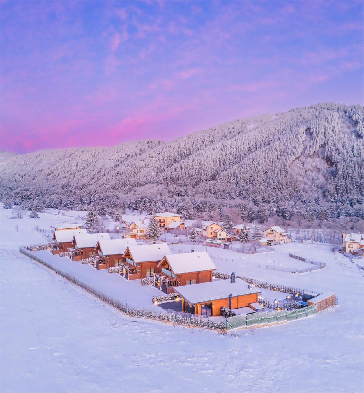 Samovilla Govedartsi Bagian luar foto